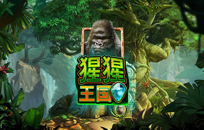 2024新澳正版免费资料大全
